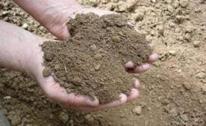 «معمل خصوبة التربة».. خدمات مجانية ومنتجات بأسعار مخفضة لا يعلمها المزارعين!