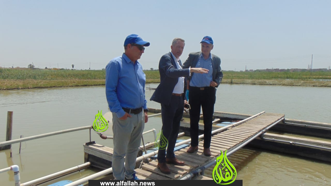 «الدولي للأسماك» يبحث التعاون المشترك مع وزير الشئون الزراعية الدولية للسفارة الأمريكية بالقاهرة