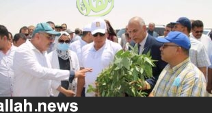 حصاد الجوجوبا | المصرية الخليجية والبادية الاستثمارية يحصدان تعاقدات استثمارية بنحو 250 مليون دولار
