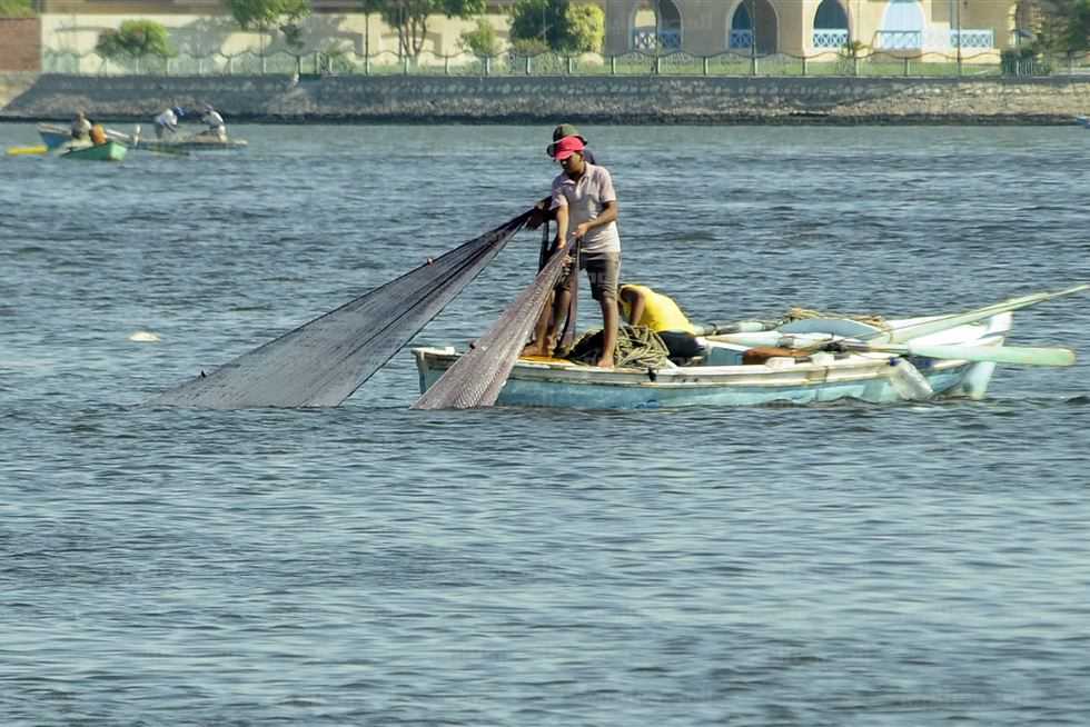 الثروة السمكية بنهر النيل في خطر.. والسبب «الجراد الأمريكى»